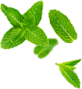 Apadana-Restaurant-0025