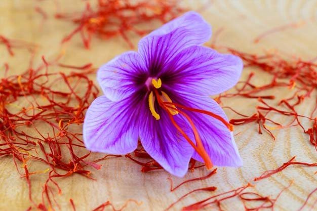 The-Secret-Behind-Persian-Saffron-Why-It-Elevates-Every-Dish-003